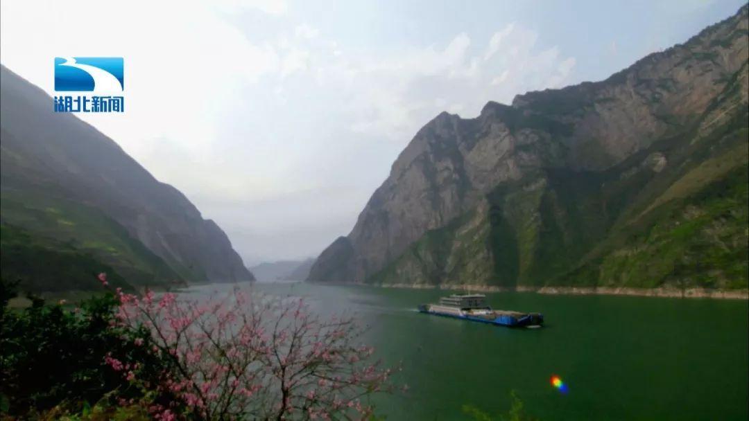 救援鹦鹉